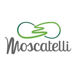 Moscatelli srl - Energia Solare