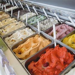 L'Albero dei Gelati