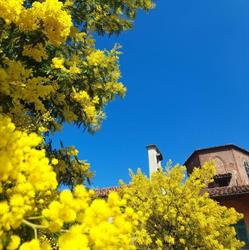 Cascina Duc