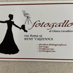 Fotogallo di Chiara Cavallero