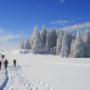 Piste da Sci