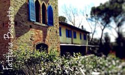 Bassetto Guesthouse & Apartments