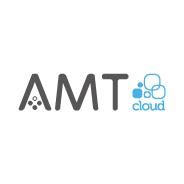 A.m.t. Services S.r.l.