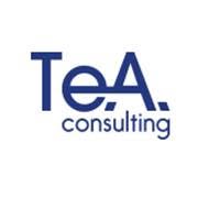 Te.A. Consulting Srl