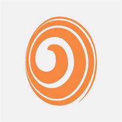 The Vortex Srl