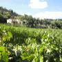 Agriturismo