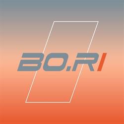 Bo.Ri. Srl