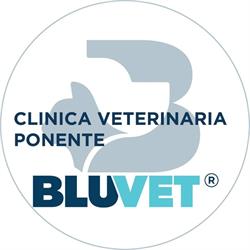 Clinica Veterinaria Ponente - BluVet