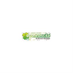Autodemolizione Ecorinascita