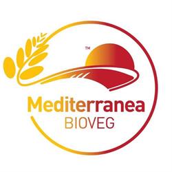 Mediterranea S.r.l.