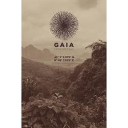 Gaia Ristorante Caffetteria
