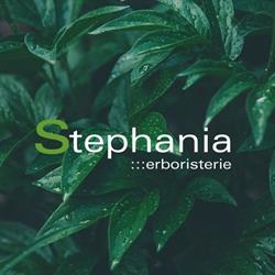 Stephania Erboristerie