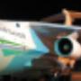 Export Piante