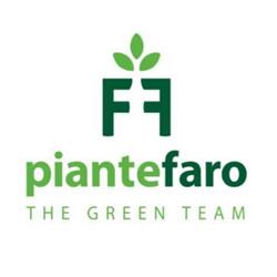 Piante Faro SS Agricola di Venerando Faro & C. Terminal 1