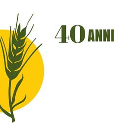 Il Sole e la Terra