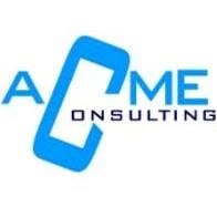 ACME Consulting srl