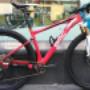 Biciclette - Cicloo Store
