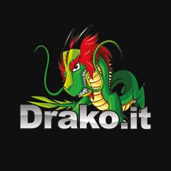Drako.it s.r.l