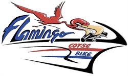 Flamingo Corse Bike