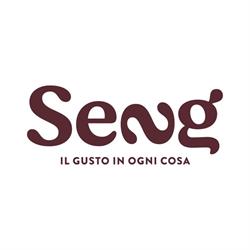 SENG Corporation