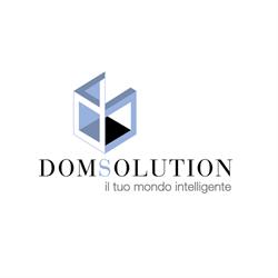 Domsolution