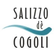 SALIZZO dè COGOLI srl