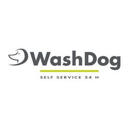 Wash Dog
