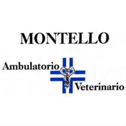 Ambulatorio Veterinario Associato "Montello"