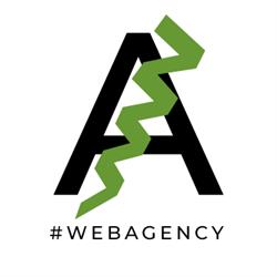 ARANEUS Web Agency
