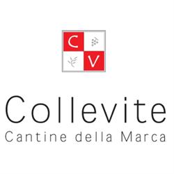 Collevite