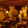 taverntta