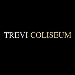 Trevi-Coliseum srl