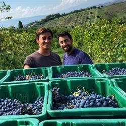Vigneti Vallorani