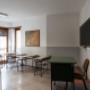 Gallery Professionale
