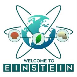 Liceo Einstein Torino