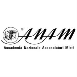 A.N.A.M. Accademia Nazionale Acconciatori Moda