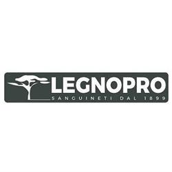 LEGNOPro, Sanguineti dal 1899