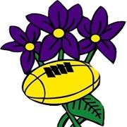 AMATORI PARMA RUGBY CLUB ASD