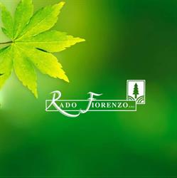 Vivai Rado Fiorenzo