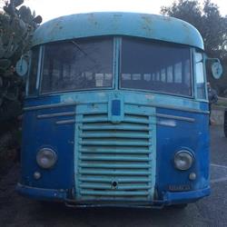 Ziccone Autobus e Minibus