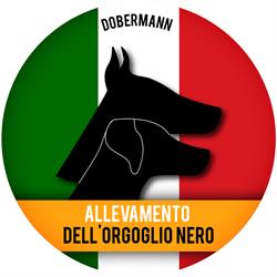 Allevamento-Dobermann Dell'Orgoglio Nero