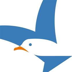 ARTICO - Canne da Pesca