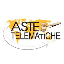 Aste Telematiche