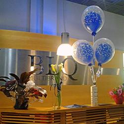 BLQ Bologna Multibrand