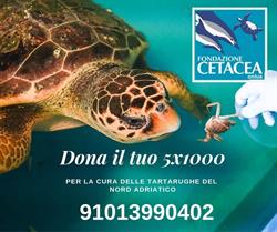 Progetto Sole di Fondazione Cetacea Onlus.