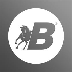 Boeris Bikes