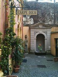 Carpe Diem Travel Agency