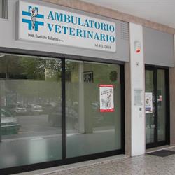 Ambulatorio Veterinario Ballarini