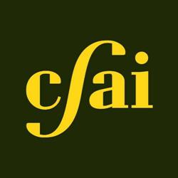 Csai Srl