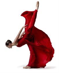 Professione Danza Parma